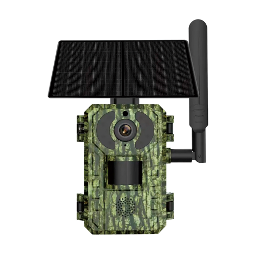 4G Batteri vildt kamera m/solcelle 4MP demo