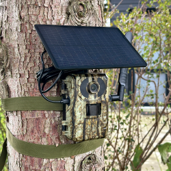 4G Batteri vildt kamera m/solcelle 4MP demo