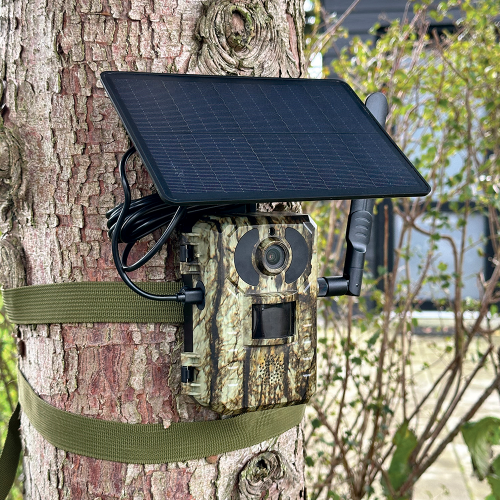 4G Batteri vildt kamera m/solcelle 4MP demo