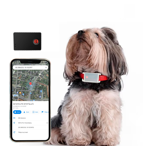 GPS Tracker til hunde uden abonnement 2G