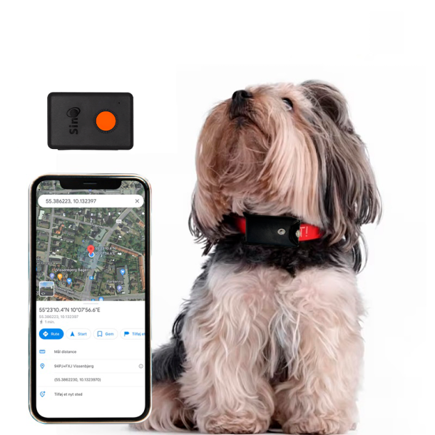 GPS Tracker til hunde uden abonnement 4G